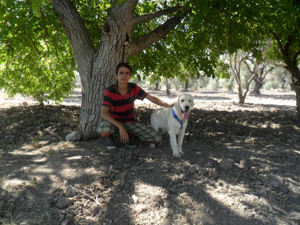 Mersin’de Korkunç Köpek Cinayeti Mersin’de Korkunç Köpek Cinayeti
