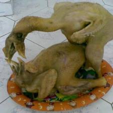 Xôn xao clip tư vấn tâm lý gây sốc phát trên VOV - 1