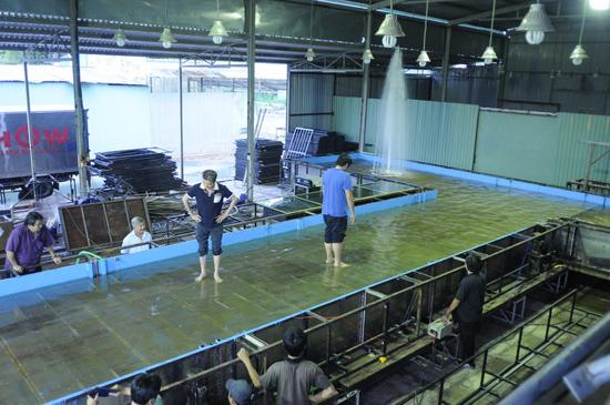 Chuyên đề: Sự chuẩn bị cho ... SỐ PHẬN !!! >>> (Clips + Pics) - 2