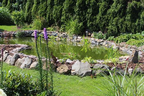 Grünes Wasser im Gartenteich Mein schöner Garten Forum