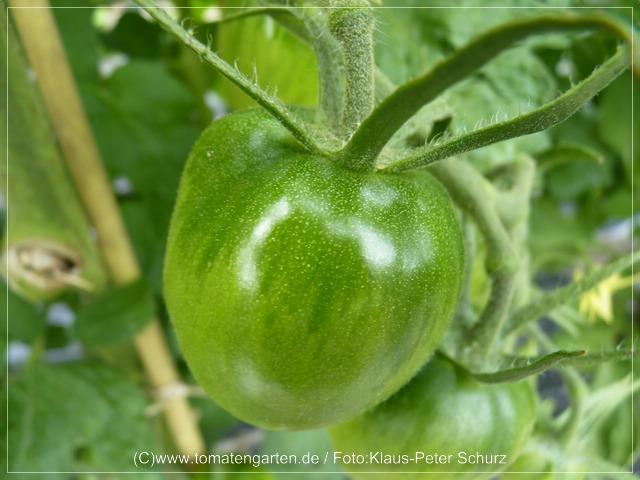 Bild
