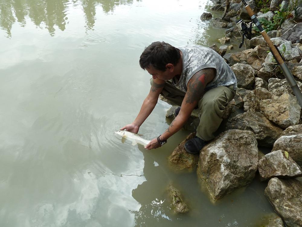 abfischen-im-waldviertel-angelforum