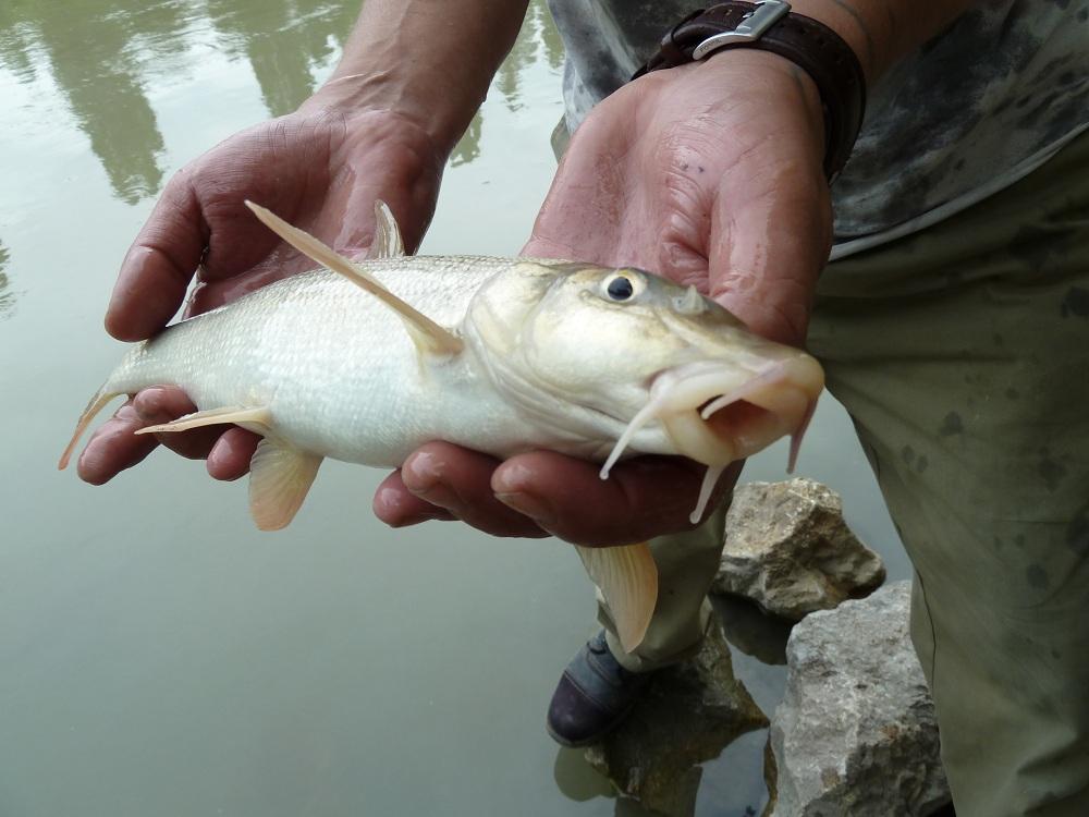 nachtfischen-mit-simon-angelforum