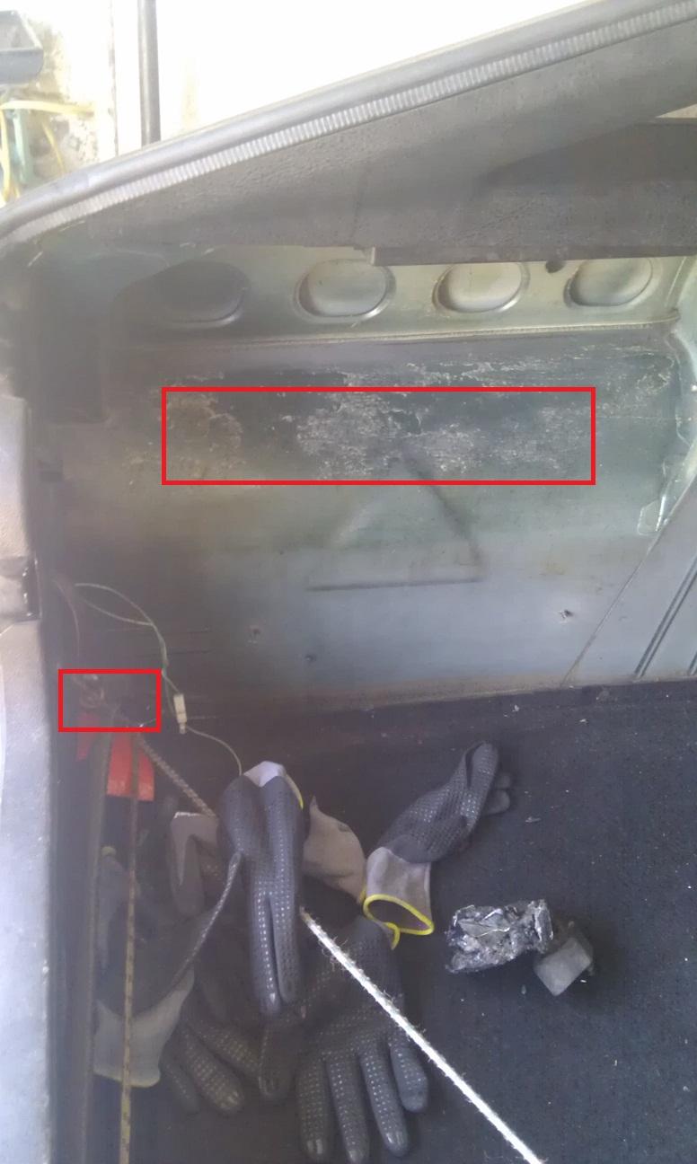c61blndoqx3hov4sv.jpg