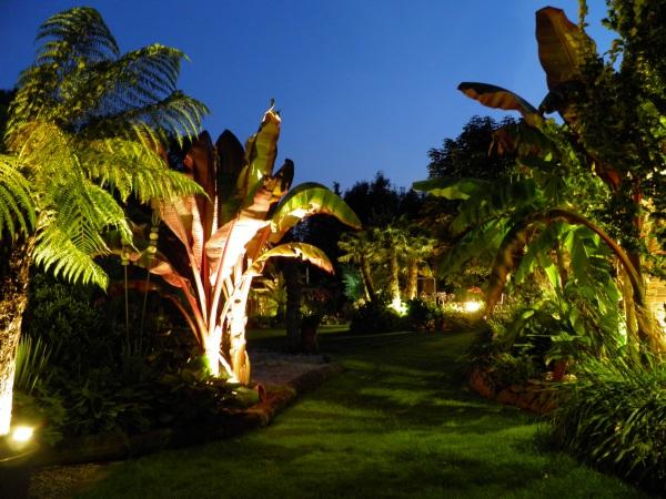 Bildergalerie » Garten im Lichte der Dämmerung