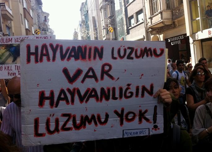 c7pvbhuz57gsnlm6y.jpg