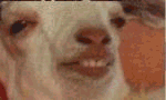 c8dgfeq9uendqk9rr.gif