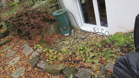 Pflanzideen füe den Tiefhof - Mein schöner Garten Forum