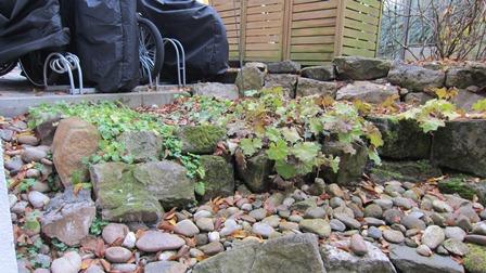 Pflanzideen füe den Tiefhof - Mein schöner Garten Forum