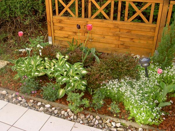 So verändert sich der Garten.. - Page 6 - Mein schöner Garten Forum