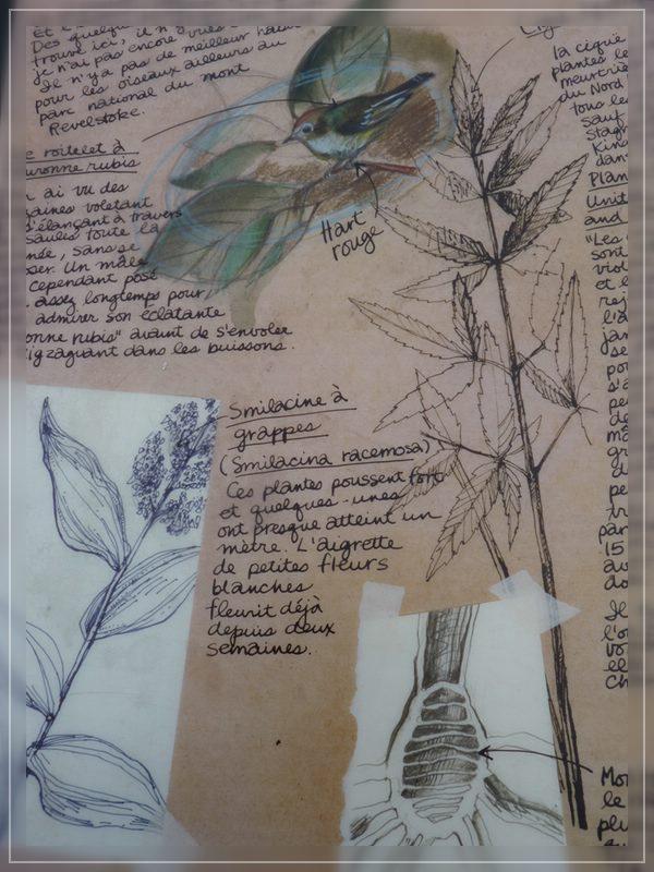 Bild