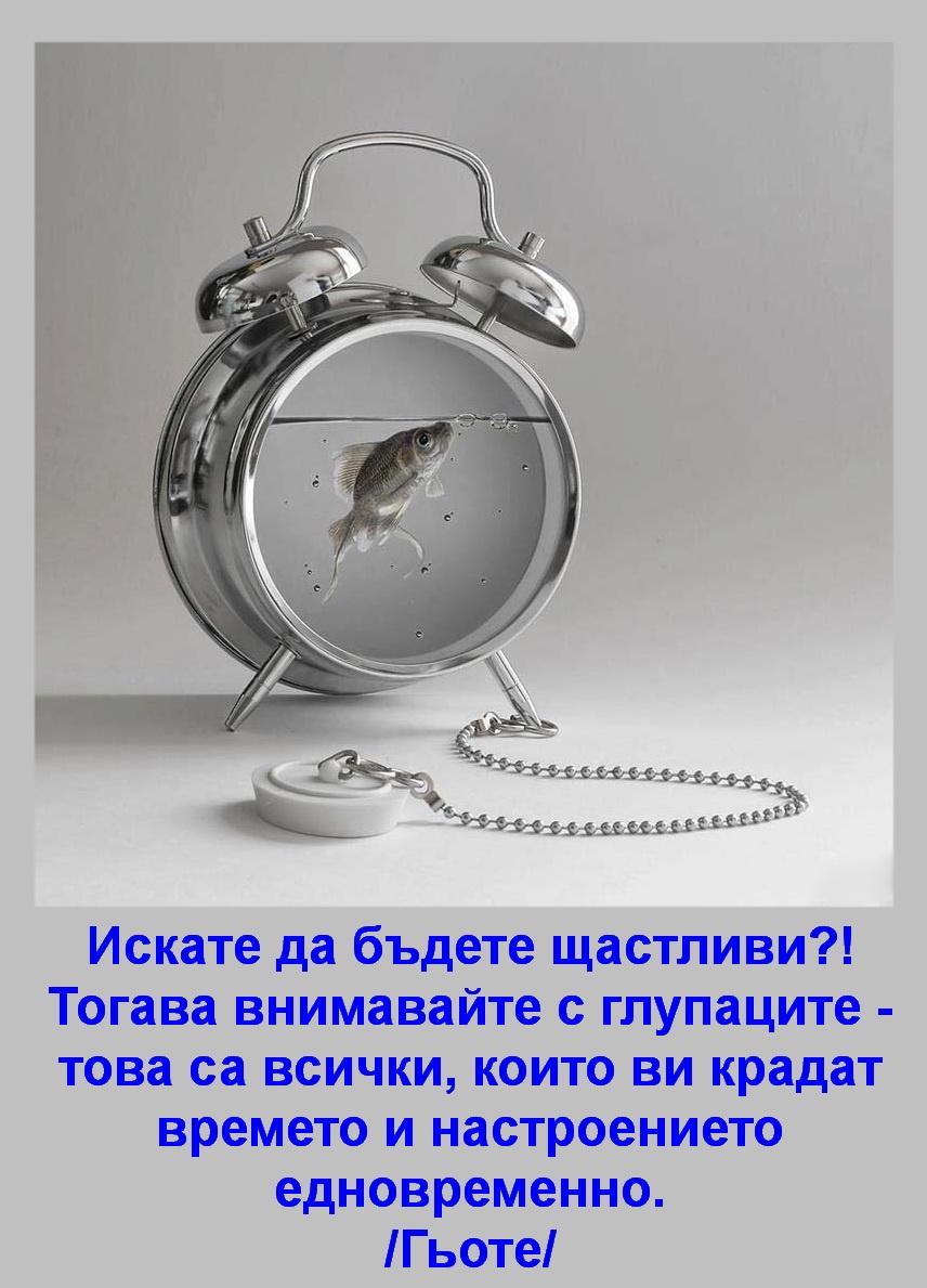 ccnhrkla9kyghlj22.jpg