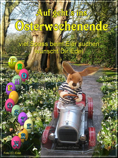 Steffi&rsquo;s Gästebuch