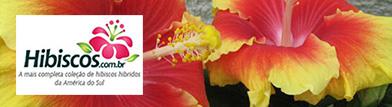 hibiscos.com.br, Mais completa cole&ccedil;&atilde;o de hibiscos hibridos da Am&eacute;rica do Sul.The most complete hibrid hibiscus collection of the South America!!!