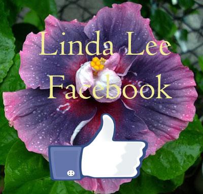 Taiwan Hibiscus Linda Lee Facebook private account