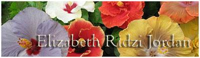 elizabeth ridzi jordan facebook hibiscos brazil