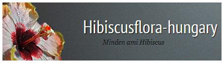 hibiscus-flora-hungary, the best hungarian hibiscus-website
