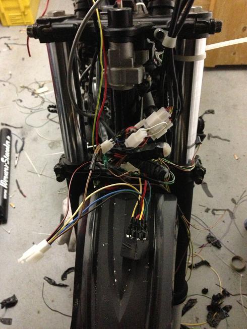 Bild