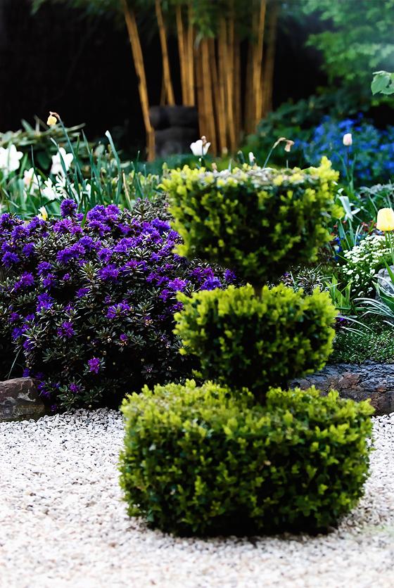 Pin http foto mein schoener garten de moderner garten neu foto 617 15