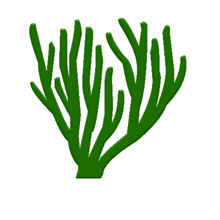 [Bild: cdylt6q1tzlbp7in2.png]