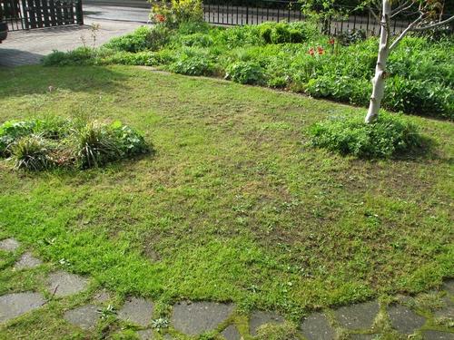 Problem Vorgarten-Rasen - *update* - Seite 1 - Gartengestaltung - Mein