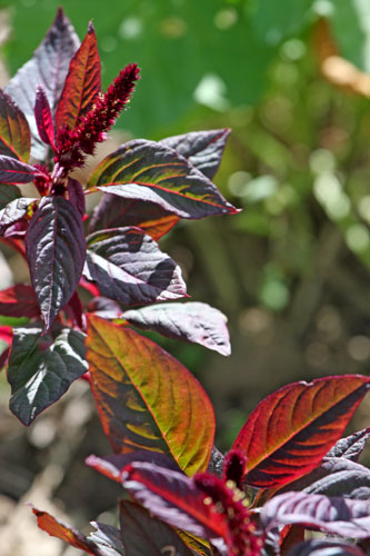 [Bild: ce7vu5pe4286sqxlp.jpg]