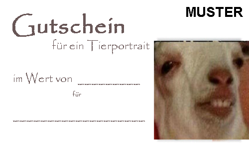 cext9y92ujhsb9n4w.jpg