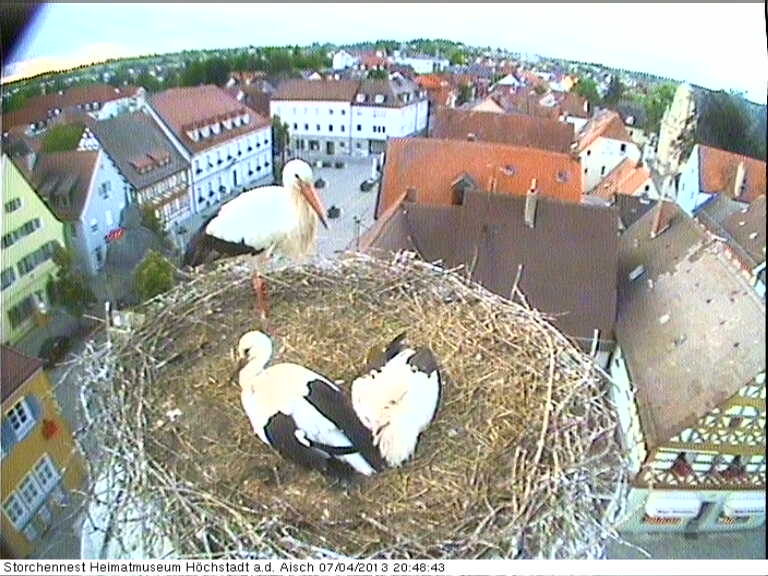 Bild