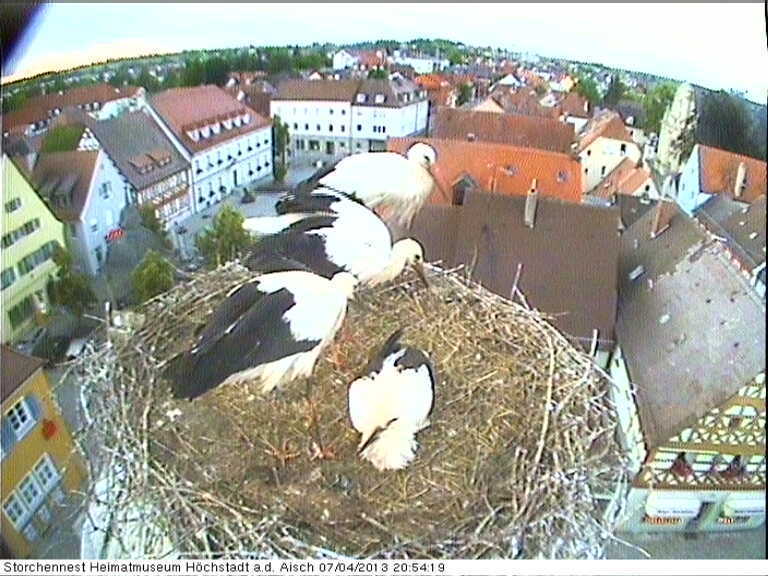 Bild