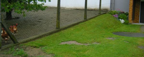 Hanggestaltung - Mein schöner Garten Forum