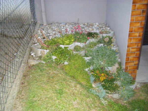 Hanggestaltung - Mein schöner Garten Forum