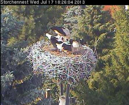 Bild