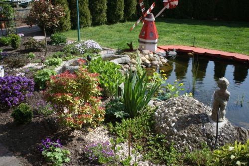 Tips für meinen Teich - Mein schöner Garten Forum