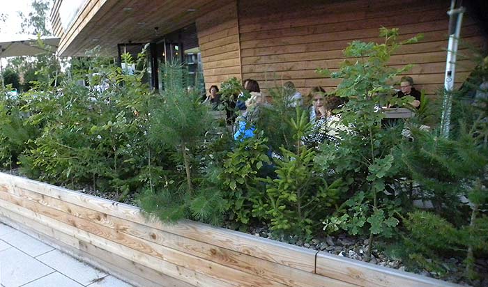 Bild