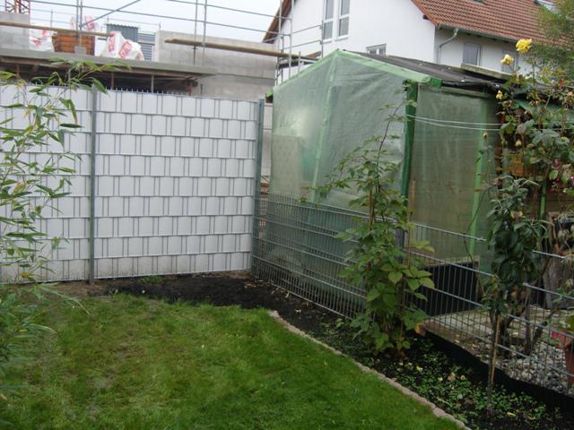 hoher, schmaler Strauch oder Baum gesucht - Page 2 - Mein schöner