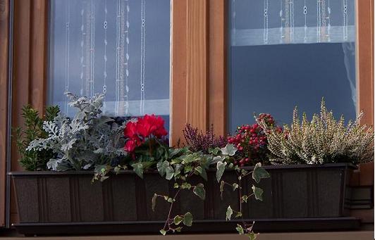 Blumenkästen im winterlook seite 1 deko & kreatives mein ...