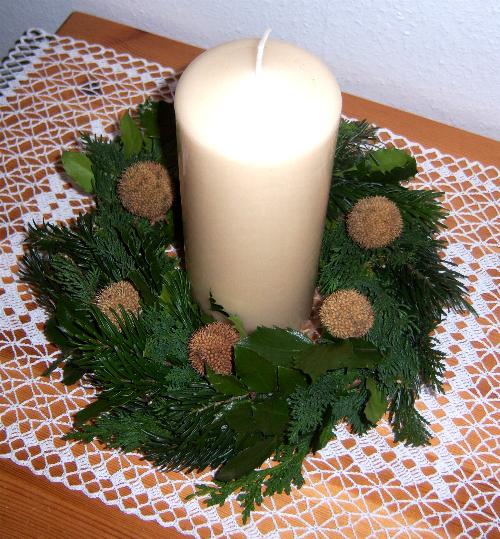 Gartentagbuch Dezember 2013 - Mein schöner Garten Forum