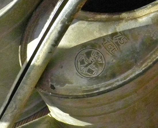 Bild