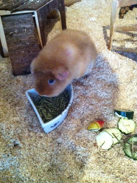 Bild