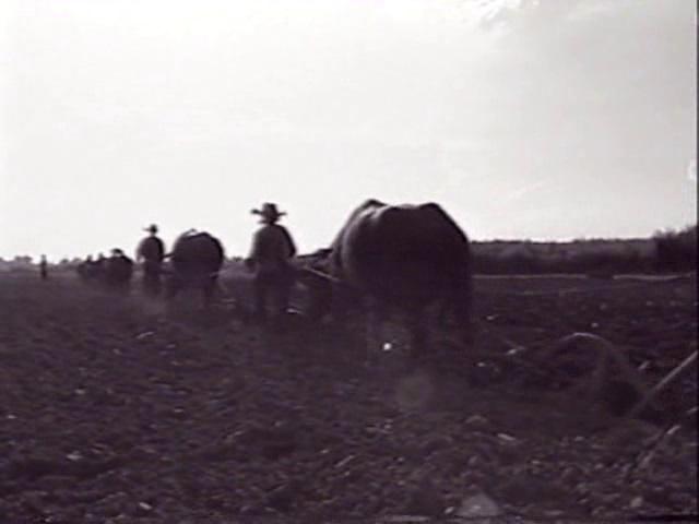 Eingefügtes Bild