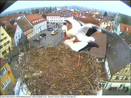 Bild