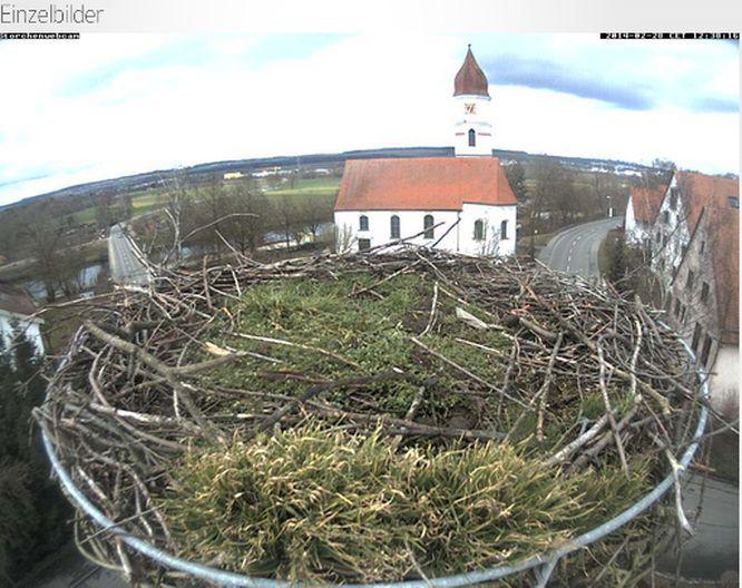 Bild