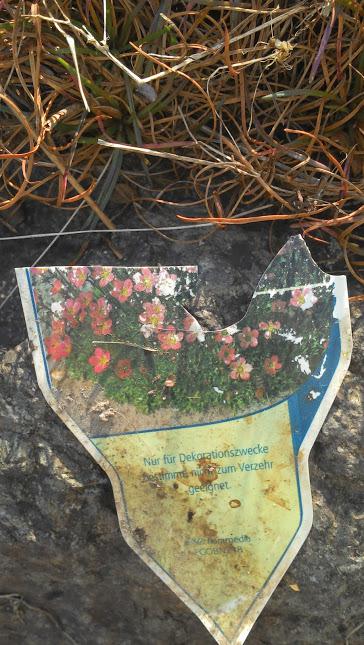 Busch - Mein schöner Garten Forum