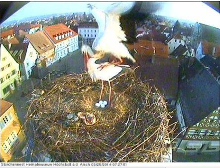 Bild