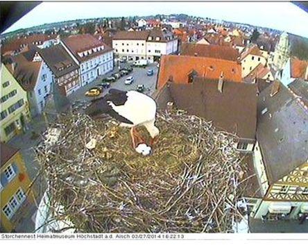 Bild