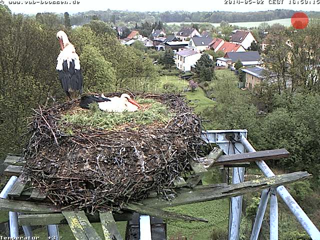 Bild