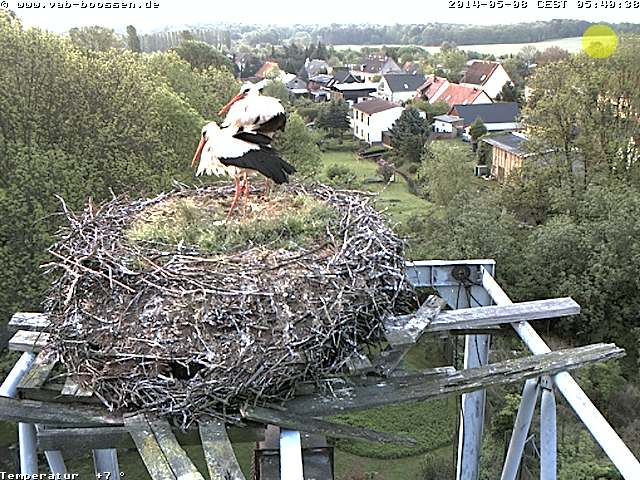 Bild
