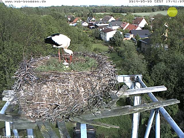 Bild