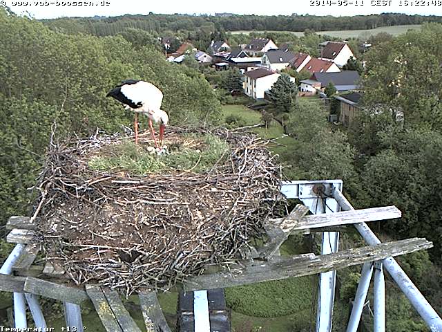 Bild