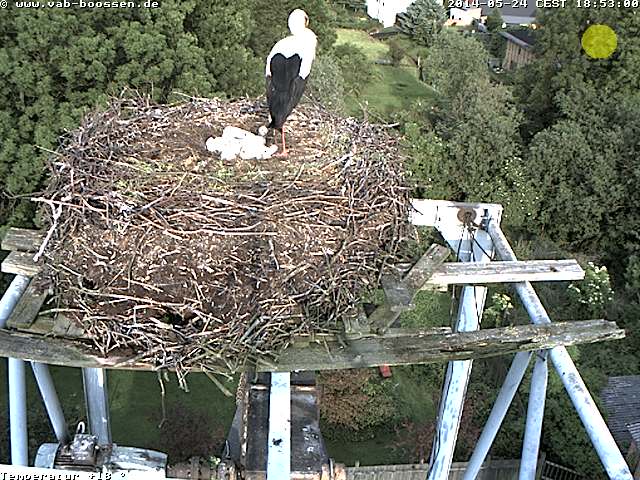Bild